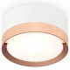 Потолочный светильник Ambrella Light Techno Spot XS8101006 (C8101, N8126)