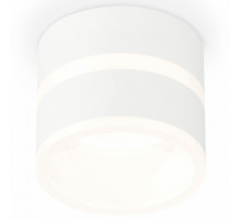 Потолочный светильник Ambrella Light Techno Spot XS8101019 (C8101, N8444)