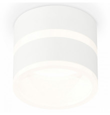 Потолочный светильник Ambrella Light Techno Spot XS8101019 (C8101, N8444)