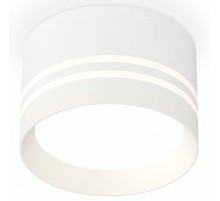 Потолочный светильник Ambrella Light Techno Spot XS8101021 (C8101, N8477)