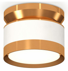 Потолочный светильник Ambrella Light Techno Spot XS8101060 (N8909, C8101, N8124)