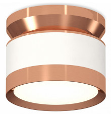Потолочный светильник Ambrella Light Techno Spot XS8101065 (N8912, C8101, N8126)