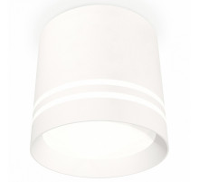 Потолочный светильник Ambrella Light Techno Spot XS8110007 (C8110, N8477)