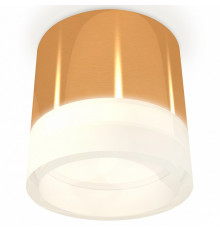 Потолочный светильник Ambrella Light Techno Spot XS8121010 (C8121, N8401)