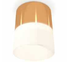 Потолочный светильник Ambrella Light Techno Spot XS8121011 (C8121, N8402)