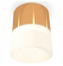 Потолочный светильник Ambrella Light Techno Spot XS8121011 (C8121, N8402)