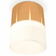 Потолочный светильник Ambrella Light Techno Spot XS8121011 (C8121, N8402)