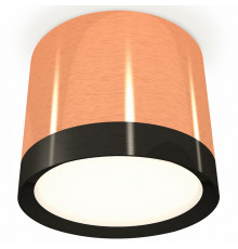 Потолочный светильник Ambrella Light Techno Spot XS8122001 (C8122, N8113)