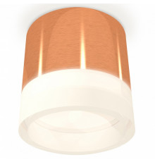 Потолочный светильник Ambrella Light Techno Spot XS8122010 (C8122, N8401)