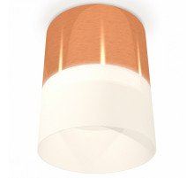 Потолочный светильник Ambrella Light Techno Spot XS8122011 (C8122, N8402)