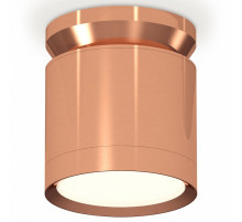 Потолочный светильник Ambrella Light Techno Spot XS8122035 (N8912, C8122, N8126)