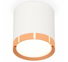 Потолочный светильник Ambrella Light Techno Spot XS8141005 (C8141, N8126)