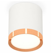 Потолочный светильник Ambrella Light Techno Spot XS8141005 (C8141, N8126)
