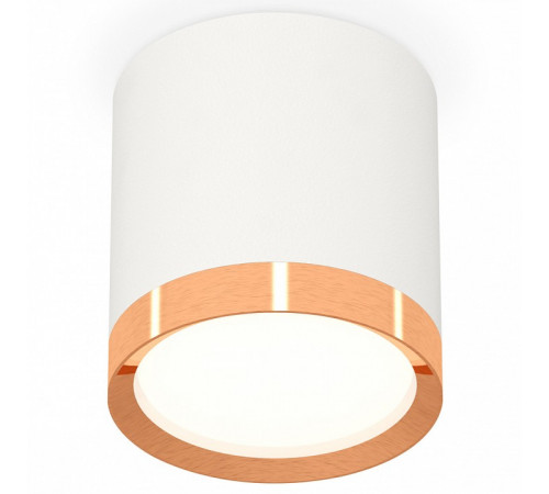 Потолочный светильник Ambrella Light Techno Spot XS8141005 (C8141, N8126)