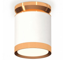 Потолочный светильник Ambrella Light Techno Spot XS8141030 (N8909, C8141, N8124)