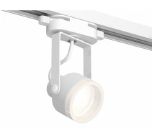 Трековый однофазный светильник Ambrella Light Track System XT6601084 (C6601, N6245)