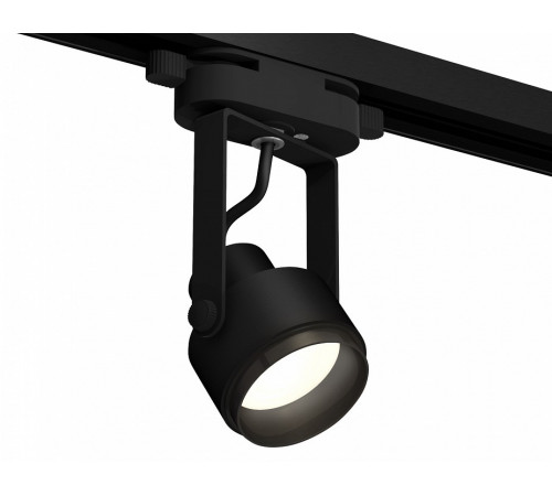 Трековый однофазный светильник Ambrella Light Track System XT6602020 (C6602, N6121)