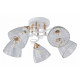 Потолочная люстра Arte Milano Amalfi 321395/5A WH+FG