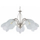 Подвесная люстра Arte Milano Amalfi 332656/5 SN