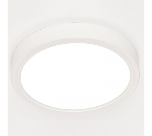 Накладной светильник Arte Perfetto Luce Ingrid 3322.LDY1604M/12W/6K Накладной светильник Arte Perfetto Luce Ingrid 3322.LDY1604M/12W/6K