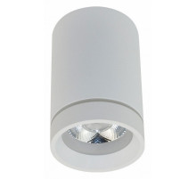 Потолочный светильник Aployt Edda APL.0054.09.10