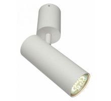 Настенно-потолочный светильник Aployt Berenis APL.007.02.01