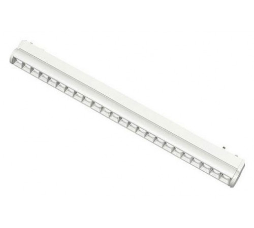 Трековый магнитный светильник Aployt Magnetic track 48 APL.0102.11.24