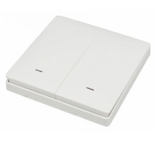 Выключатель двухклавишный Aployt Magnetic track 220 APL.0190.00.02