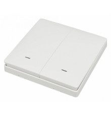 Выключатель двухклавишный Aployt Magnetic track 220 APL.0190.00.02