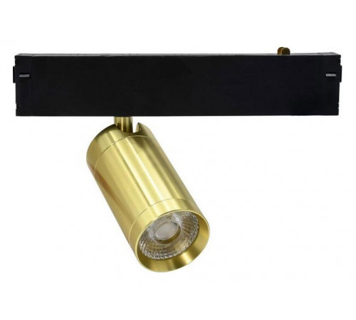 Трековый магнитный светильник Aployt Magnetic track 220 APL.0205.10.09 Трековый магнитный светильник Aployt Magnetic track 220 APL.0205.10.09