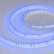 Светодиодная лента Arlight RT-A120-8mm 24V Blue (9.6 W/m, IP20, 2835, 5m) 008783(3)