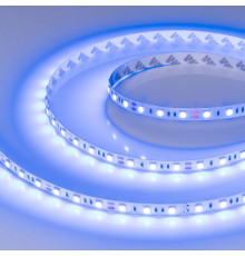 Светодиодная лента Arlight RT-B60-10mm 12V Blue (14.4 W/m, IP20, 5060, 5m) 012336(2)
