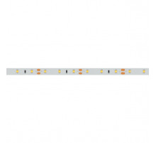 Светодиодная лента Arlight 7,2W/m 60LED/m 2835SMD дневной белый 5M 015697(2)