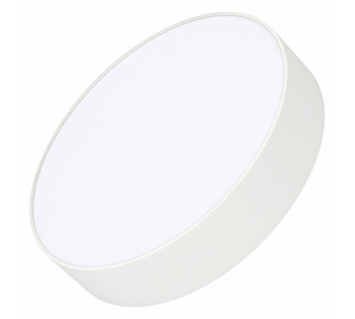 Накладной светильник Arlight SP-Rondo-R250-30W Day4000 022232(2) Накладной светильник Arlight SP-Rondo-R250-30W Day4000 022232(2)