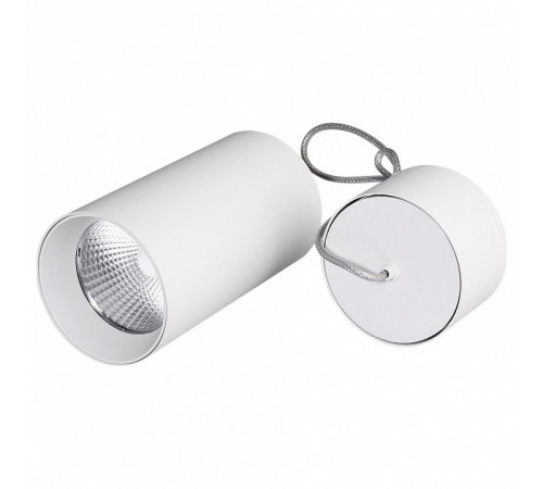 Подвесной светильник Arlight SP-Polo-R85-2-15W Day White 40deg 022948 Подвесной светильник Arlight SP-Polo-R85-2-15W Day White 40deg 022948