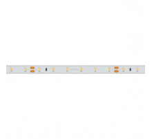 Светодиодная влагозащищенная лента Arlight 4,8W/m 60LED/m 3528SMD белый 50M 024562(2)