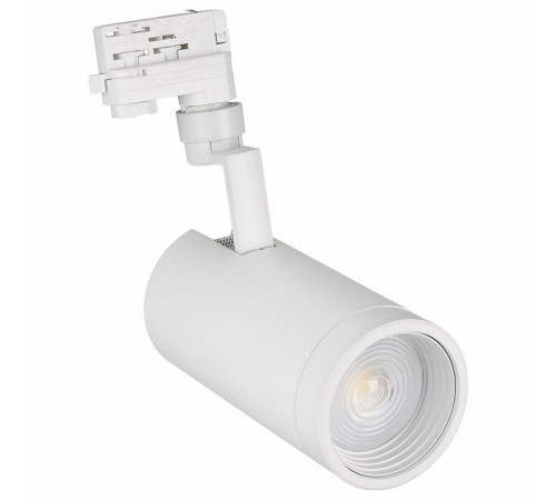Трековый светильник Arlight LGD-ZEUS-4TR-R100-30W Day 024609