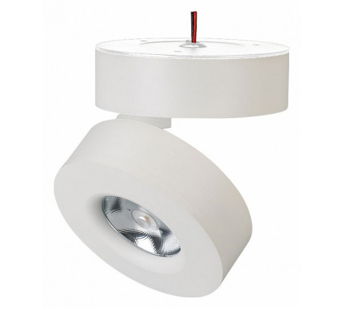 Спот Arlight SP-Mona-Surface-R100-12W Day4000 025439(1) Спот Arlight SP-Mona-Surface-R100-12W Day4000 025439(1)