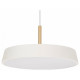 Подвесной светильник Arlight SP-ELEGANT-R300-17W Day4000 (WH, 120 deg, 230V) 033919(1)