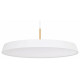 Подвесной светильник Arlight SP-ELEGANT-R500-37W Warm3000 (WH, 120 deg, 230V) 033925(1)
