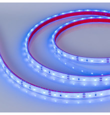 Светодиодная лента герметичная Arlight RTW-PFS-A60-11mm 12V Blue (4.8 W/m, IP68, 2835, 5m) 034012