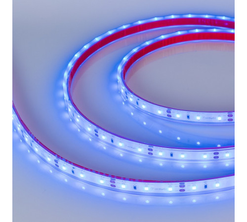 Светодиодная лента герметичная Arlight RTW-PFS-A60-11mm 12V Blue (4.8 W/m, IP68, 2835, 5m) 034012 Светодиодная лента герметичная Arlight RTW-PFS-A60-11mm 12V Blue (4.8 W/m, IP68, 2835, 5m) 034012