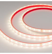 Светодиодная лента герметичная Arlight RTW-PFS-A60-11mm 24V Day4000 (4.8 W/m, IP68, 2835, 5m) 034158