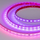 Светодиодная герметичная лента Arlight SPI-PS-B60-12mm 24V RGB-PX6-BPT (12 W/m, IP67, 5060, 5m) 039181