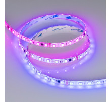 Светодиодная герметичная лента Arlight SPI-SE-B60-10mm 24V RGB-PX6-BPT (12 W/m, IP65, 5060, 5m) 039601