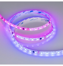 Светодиодная герметичная лента Arlight SPI-SE-B60-10mm 24V RGB-PX6-BPT (12 W/m, IP65, 5060, 5m) 039601