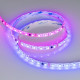 Светодиодная герметичная лента Arlight SPI-SE-B60-10mm 24V RGB-PX6-BPT (12 W/m, IP65, 5060, 5m) 039601