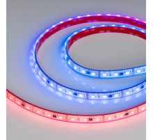 Светодиодная герметичная лента Arlight DMX-PS-B60-12mm 12V RGB-PX3 (14 W/m, IP67, 5060, 5m) 039605