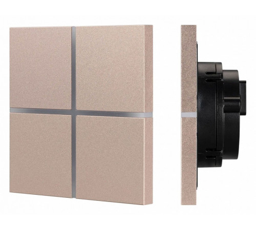 Сенсорная панель Arlight KNX-304-13-IN Champagne BUS, Frameless 039670 Сенсорная панель Arlight KNX-304-13-IN Champagne BUS, Frameless 039670