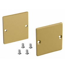Заглушка Arlight SL-LINE-3638-LW GOLD глухая 039983